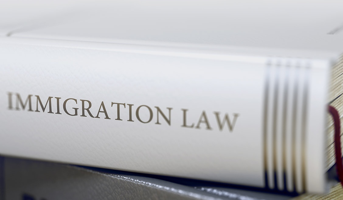 Immigration-Related Support